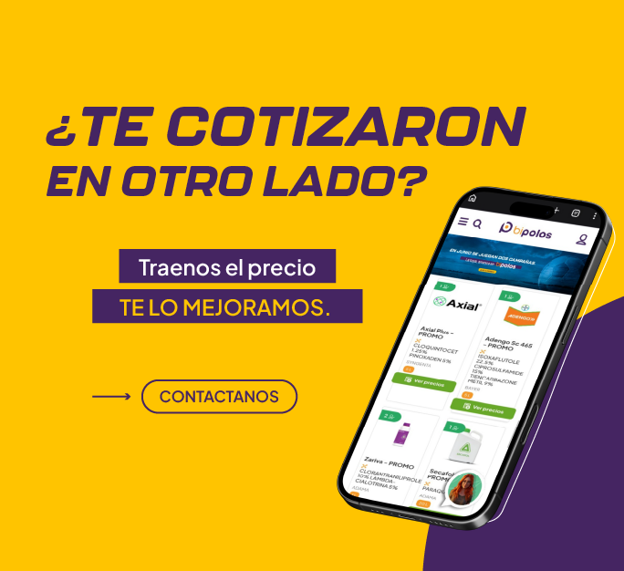COTIZACION